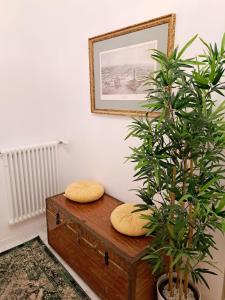 a room with two pillows on a wooden chest with two plants at The Gallery Boutique Rooms in Trieste