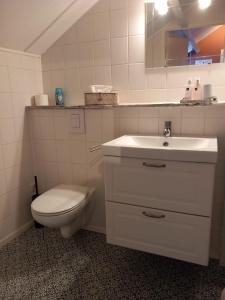 ein weißes Bad mit einem WC und einem Waschbecken in der Unterkunft De Hagendoorn in Moorveld