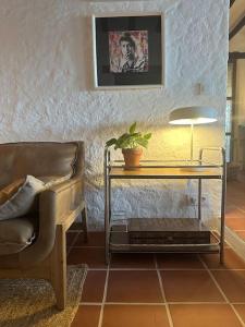 a living room with a couch and a table with a plant at Landhuis Natural Park - Privacy in Cádiar