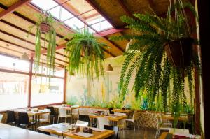 a restaurant with tables and chairs and a large plant at Hostal Oro Negro in Talara