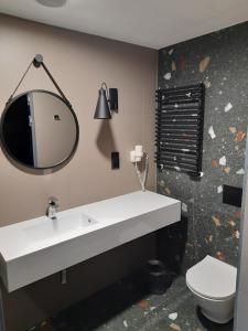 W łazience znajduje się umywalka, lustro i toaleta. w obiekcie Aparthotel - Apartament BiałaPerła w mieście Sienna