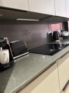 uma cozinha com uma bancada com uma torradeira em Richardson Deluxe Apartments em Londres