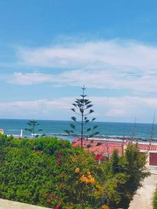 a view of a beach with a tree and the ocean at Maison à harhoura prêts de la plage in Rabat