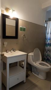 a bathroom with a toilet and a sink and a mirror at Hotel Urbano Ventia in Comodoro Rivadavia