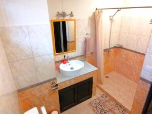 a bathroom with a sink and a shower at Sand Castle Villa in Trou aux Biches