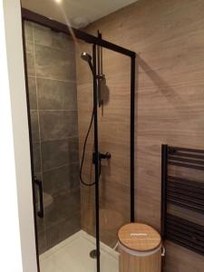 a shower with a glass door in a bathroom at Maison 2 pièces, 4 personnes in Le Loroux-Bottereau
