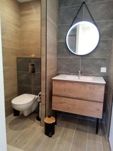 a bathroom with a toilet and a sink and a mirror at Les Noisetiers in Le Loroux-Bottereau +7 photos