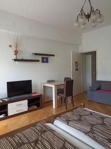 a living room with a bed and a table with a tv at Apartments Tepić in Banja Luka