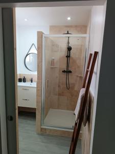 a bathroom with a shower with a glass door at Charmant studio avec piscine in Villemoustaussou