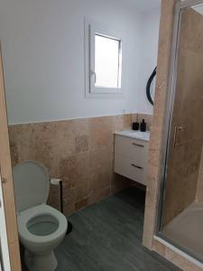 a bathroom with a toilet and a sink and a shower at Charmant studio avec piscine in Villemoustaussou