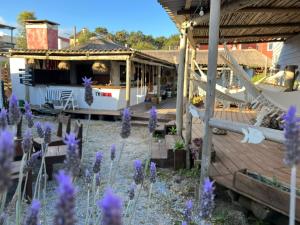 a garden with purple flowers in front of a house at Pueblo Arriba Hostel in Punta Del Diablo
