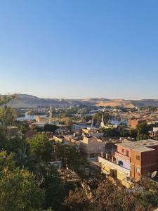 uitzicht op een stad met gebouwen en bomen bij Villa Elaraby Mohamed in Aswan