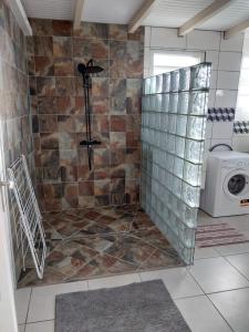eine Dusche im Bad mit einer Waschmaschine in der Unterkunft VILLA MARIE in Marigot
