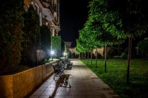 a dog walking down a sidewalk next to benches at night at Apart Hotel Apolonia Palace in Sinemorets