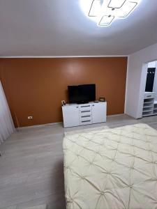 a living room with a flat screen tv and a couch at Crang Luxury View in Buzău