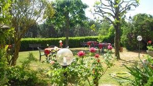 Zahrada ubytování Park Hotel Galileo