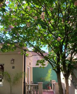 a tree in front of a house with pink flowers at donna emilia in Lobos