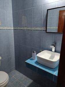 a bathroom with a sink and a toilet at EL SOLAR in Guanajuato