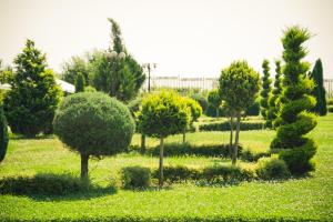 a group of trees and bushes in a field at Apart Hotel Apolonia Palace in Sinemorets