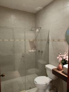 a bathroom with a toilet and a glass shower at EL SOLAR in Guanajuato