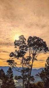 O nascer ou o pôr do sol visto a partir da tenda de luxo