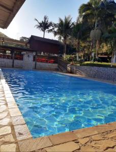a large blue swimming pool with palm trees in the background at Pesque pague pousada do Carlinho in Pinheiral