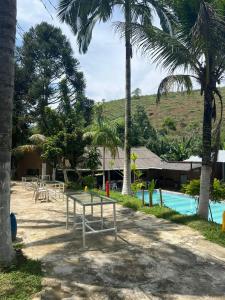 a resort with a swimming pool and palm trees at Pesque pague pousada do Carlinho in Pinheiral