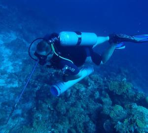 Resident Emiterio في الخليج الأزرق: شخص في جهاز الغطس على الشعاب المرجانية