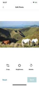 a picture of three horses grazing in a field at The Views in Church Stretton