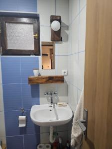 um pequeno banheiro com uma pia e uma janela em Šumor šume - Tara em Kaludjerske Bare mais 22 fotografias