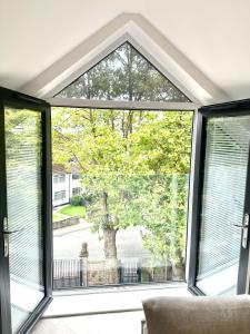 an open window with a view of a tree at 2 Bedroomed apt by Sefton Park and Spire Hospital in Liverpool