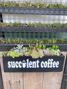 a sign for a succulent garden in a store at The Brick Boutique Hotel in Oceanside