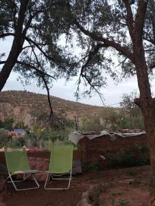 dos sillas verdes sentadas bajo un árbol en un patio en Riad dar idsalah en Ouirgane