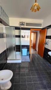 y baño con aseo, ducha y lavamanos. en Appartamento familiare di Toni, en Shkodër