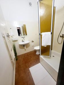ein Bad mit einer Dusche, einem Waschbecken und einem WC in der Unterkunft Penzion Bazalka in Jablonec nad Nisou