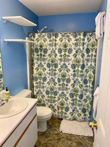 La salle de bains est pourvue de toilettes et d'un rideau de douche. dans l'établissement Bretton Woods Townhome, Views, 1Gig WiFi, Spacious, à Bretton Woods