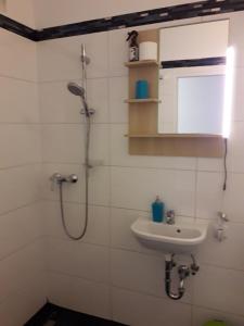 Kopalnica v nastanitvi Apartment im Zentrum Steyr, 2 Betten BESTROOMS eU