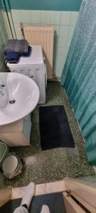 baño con lavabo y cortina de ducha en COSY APPARTMENT 3 BEDSROOM, en Amberes
