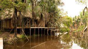 a house with a dock next to a body of water at Aparthotel Ayahuaska for SOLO travelers in Iquitos