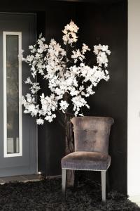 una silla sentada frente a una pared con un árbol en Cabeço - Luxury House and Living, en Monte Redondo