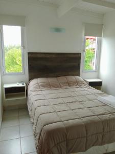 1 dormitorio con 1 cama grande y 2 ventanas en La Cumbre Sierra de los Padres en Sierra de los Padres