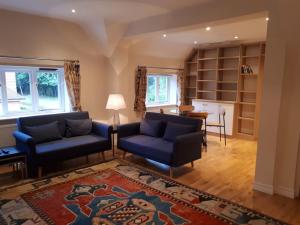 a living room with two blue couches and a rug at Rural Retreat near Dorking in Dorking
