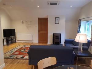 a living room with a blue couch and a television at Rural Retreat near Dorking in Dorking