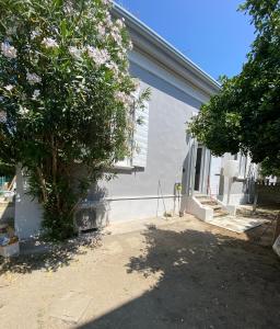 una casa con un árbol delante de ella en Casa Elisa, en Bellaria-Igea Marina