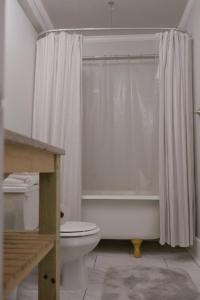 a bathroom with a toilet and a shower curtain at Clinton House - Master in Lafayette