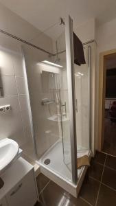 W łazience znajduje się prysznic ze szklanymi drzwiami. w obiekcie Kleine Apartments w mieście Torgau