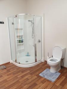 a bathroom with a shower and a toilet at Royal Accommodation in Stratford