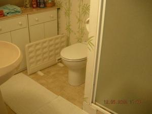 a bathroom with a toilet and a sink at Le Grand Pré in Daillancourt