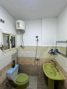 bagno con servizi igienici verdi e lavandino di EMMA's Studio Room - Nasr City a Il Cairo