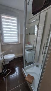 a bathroom with a shower and a toilet and a sink at Kleine Apartments in Torgau